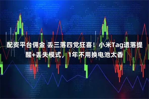 配资平台佣金 丢三落四党狂喜！小米Tag遗落提醒+丢失模式，1年不用换电池太香