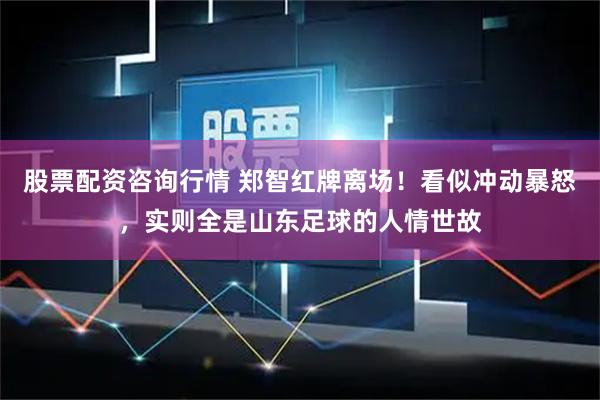 股票配资咨询行情 郑智红牌离场！看似冲动暴怒，实则全是山东足球的人情世故